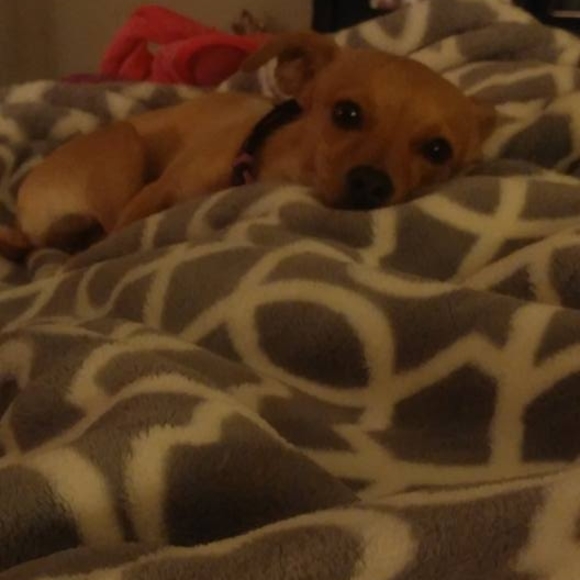 Meet your Posher, M-mandy - Picture 1 of 1